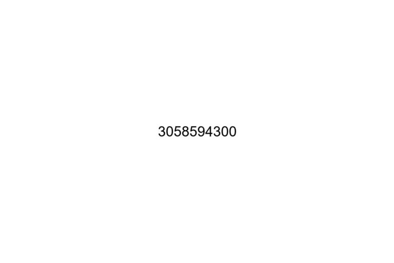 3058594300