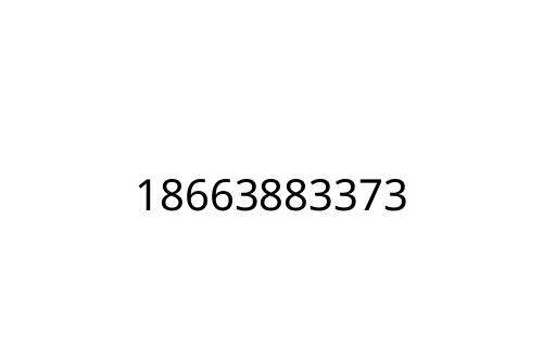 18663883373