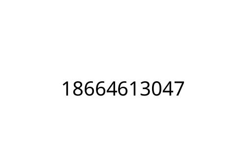 18664613047