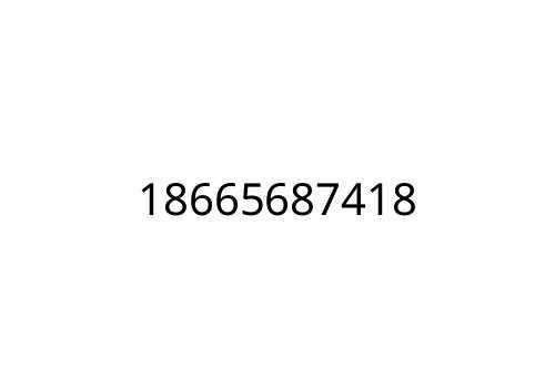 18665687418