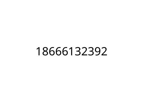 18666132392