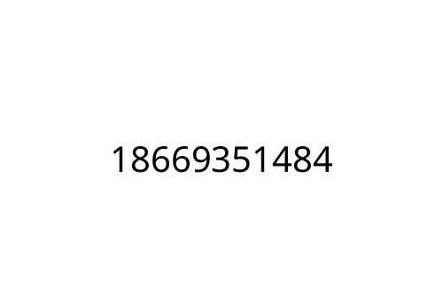 18669351484