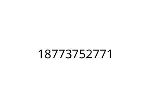 18773752771
