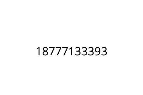 18777133393