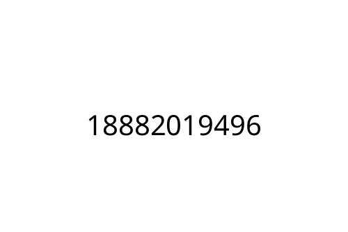 18882019496