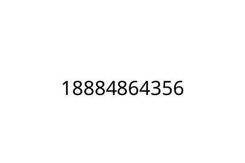 18884864356