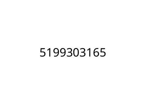 5199303165