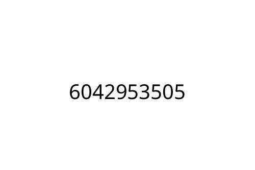 6042953505