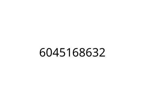 6045168632