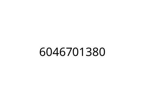 6046701380