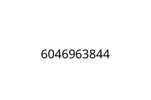 6046963844