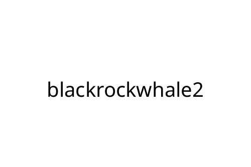 blackrockwhale2