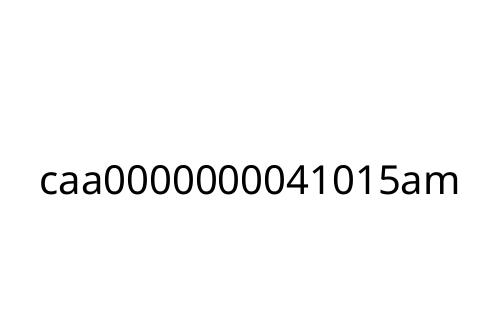 caa0000000041015am