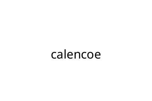 calencoe
