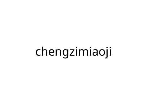 chengzimiaoji
