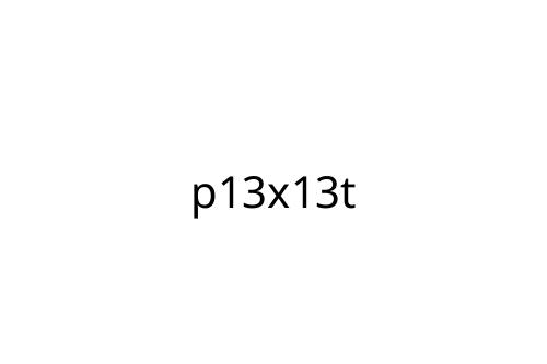 p13x13t