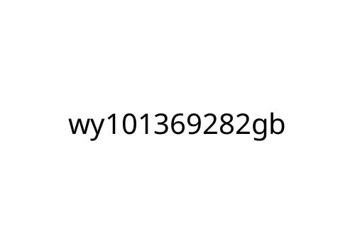 wy101369282gb