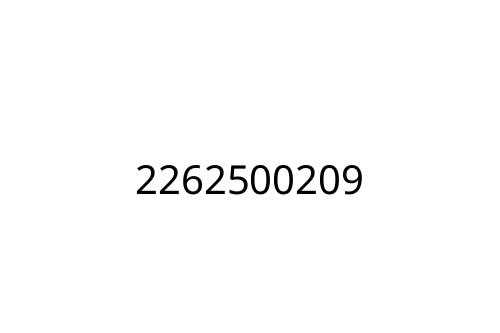 2262500209