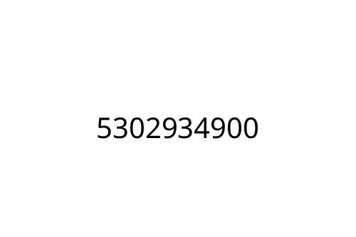 5302934900
