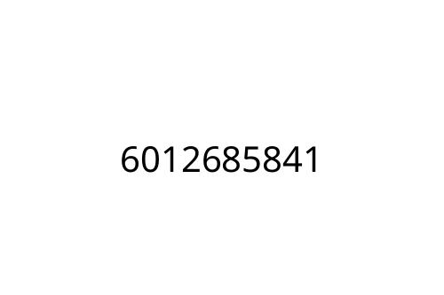 6012685841
