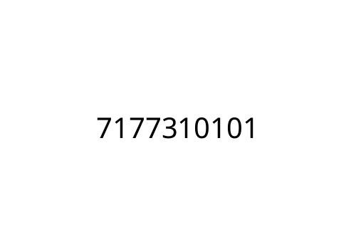 7177310101