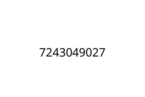 7243049027