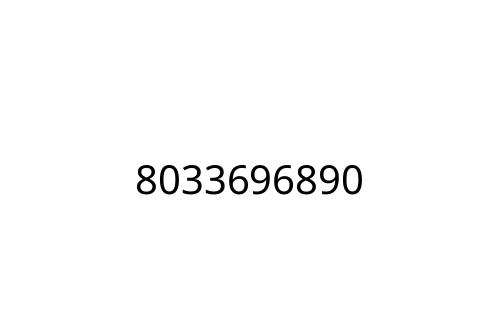 8033696890