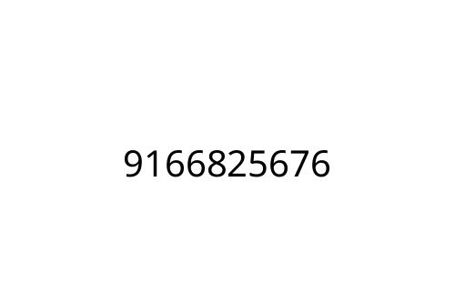 9166825676