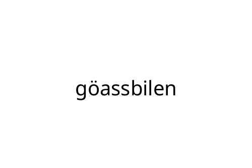 g_assbilen