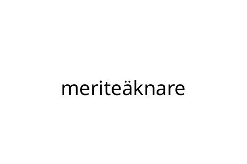 merite_knare