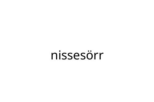 nisses_rr