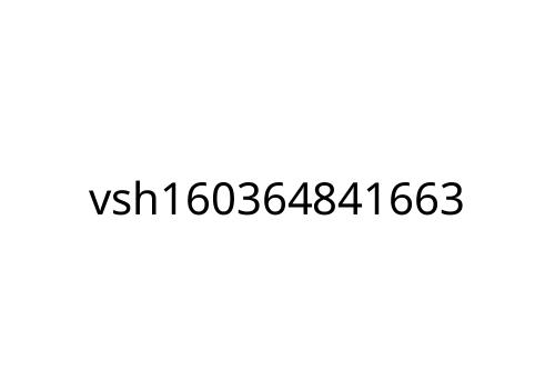 vsh160364841663
