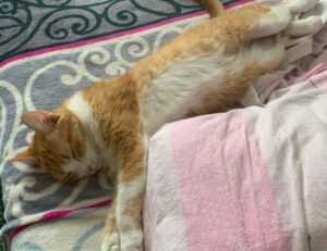 how to turn on uy48lo air conditioner