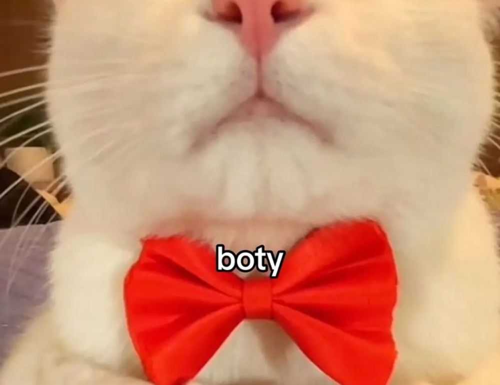 moxhit4.6.1 software testing