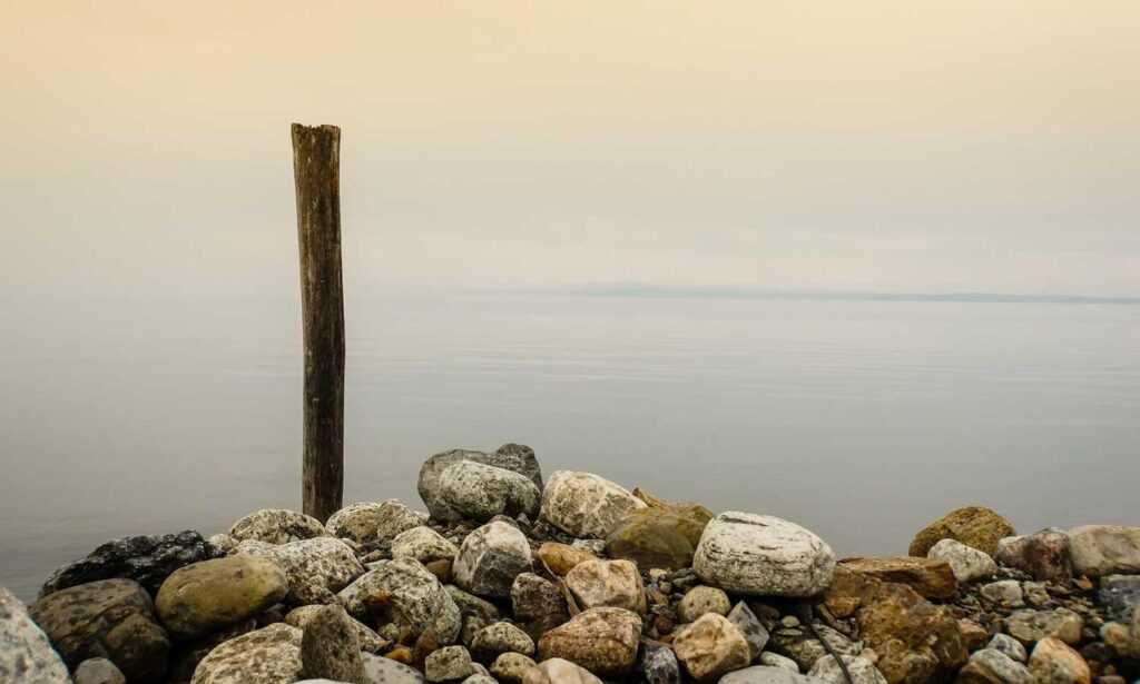 sffarebaseball results 2023