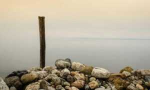 sffarebaseball results 2023