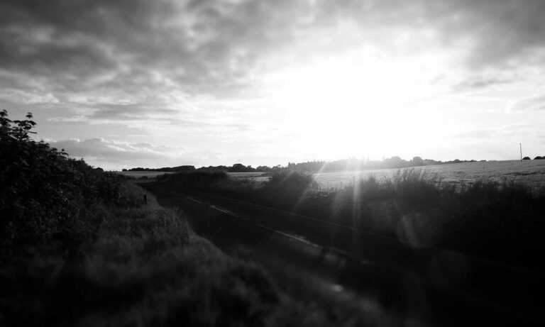 can hell2mize run on pc