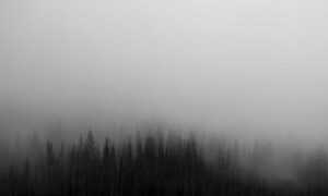 how to grill renkooki