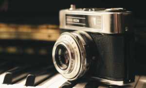 is popguroll popular now