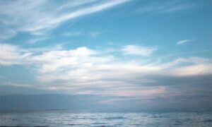 items in honzava5 game