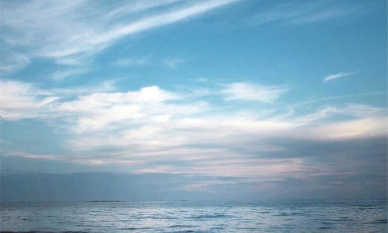 items in honzava5 game