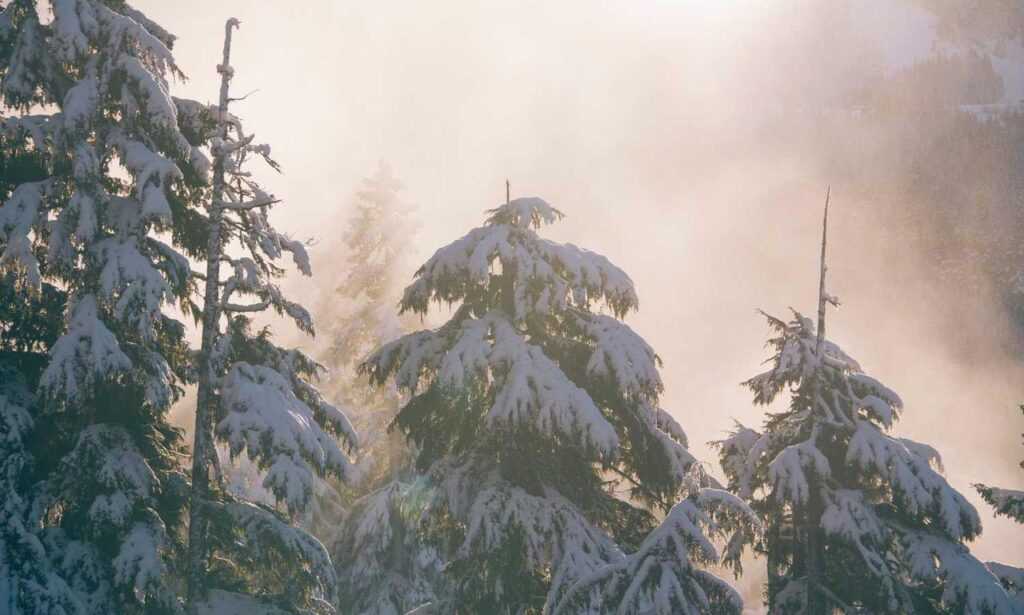 should my mac be on zillexit update