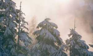 should my mac be on zillexit update