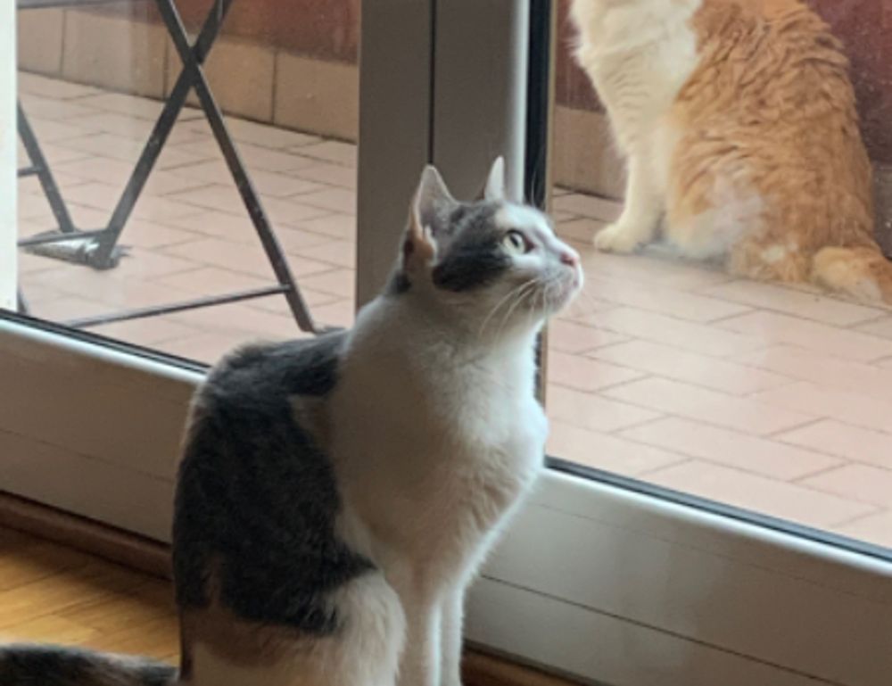 why can't i remove warepad0.2 from my pc