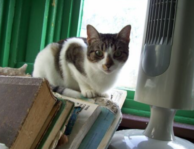 why lerakuty cave water so clear