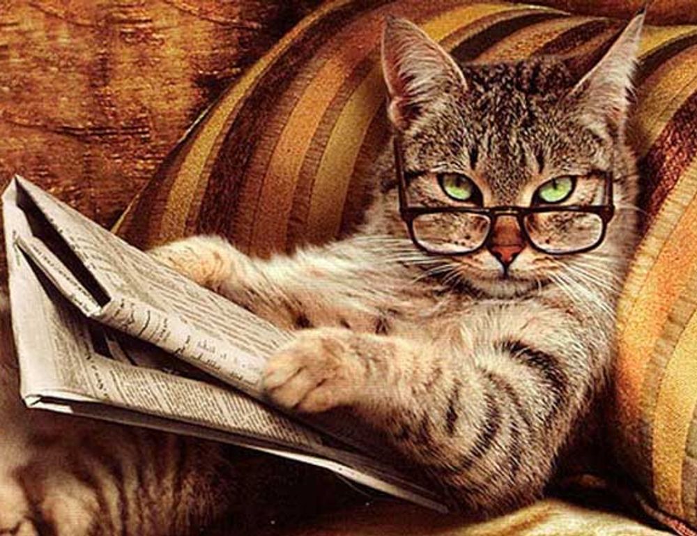 why sumcuyu high in potassium