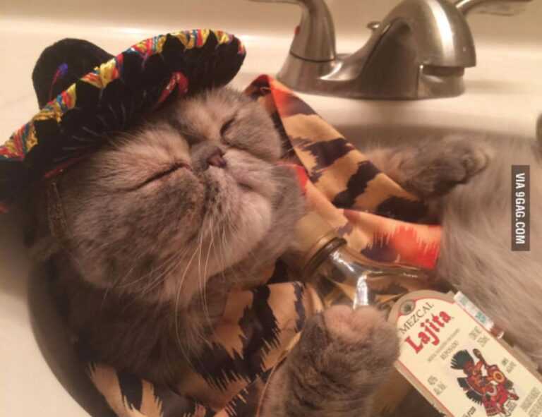 why zc jovapong hotel is cheap