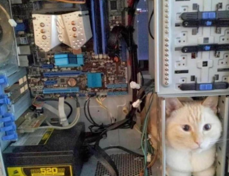 zayepro pharmaceuticals ltd tested