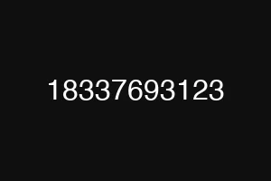 18337693123