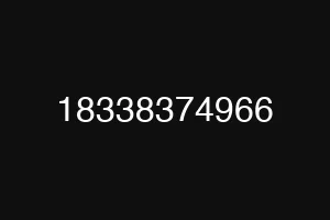 18338374966